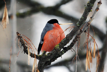 Similar image 2937469