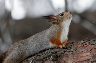 Similar image 2937471