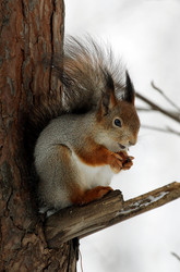 Similar image 2937472