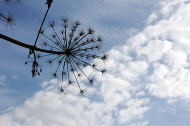 Similar image 2937474