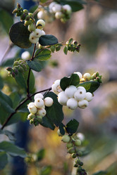 Similar image 2937475