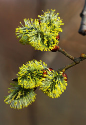 Similar image 2937478