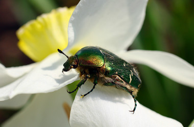 Similar image 2937479