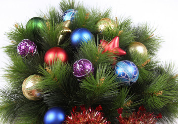 Similar image 2937488