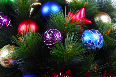 Similar image 2937490