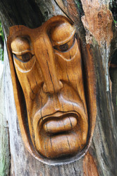 Similar image 2937504