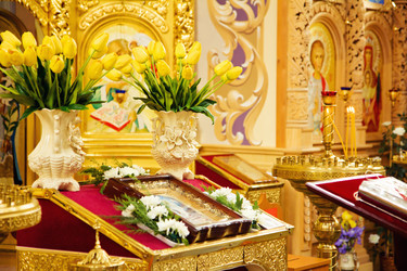 Similar image 2937543