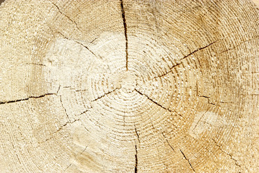 Similar image 2937643