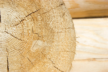 Similar image 2937645