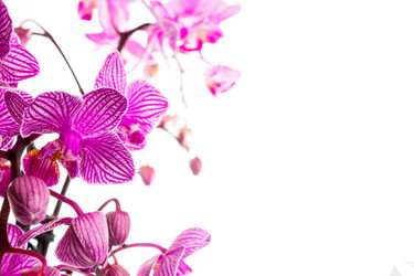 Similar image 2937646