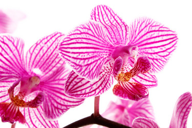 Similar image 2937647