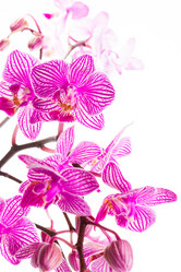 Similar image 2937648