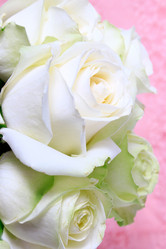 Similar image 2937650