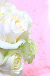 Similar image 2937651