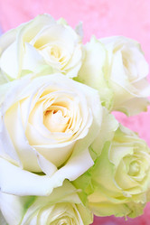 Similar image 2937652