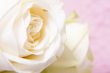 Similar image 2937653