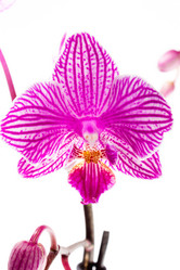 Similar image 2937654