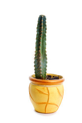 Similar image 2937655