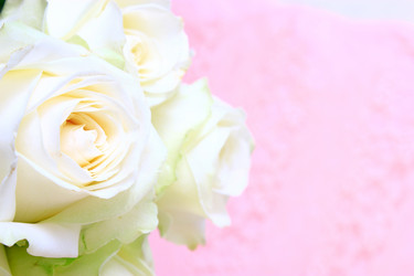 Similar image 2937664