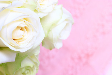 Similar image 2937665