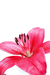 Similar image 2937667