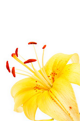 Similar image 2937668