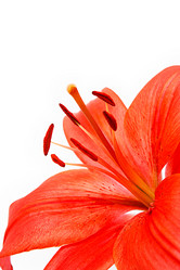 Similar image 2937670