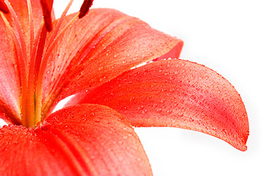 Similar image 2937671