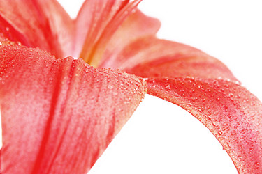 Similar image 2937672