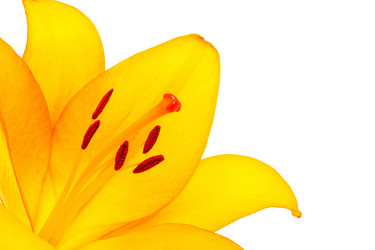 Similar image 2937674