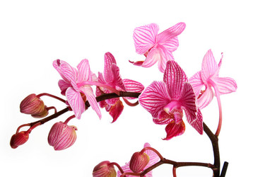 Similar image 2937677