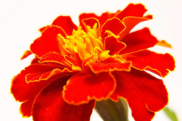 Similar image 2937680