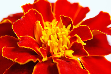 Similar image 2937681