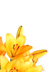 Similar image 2937700