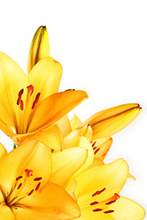 Similar image 2937702