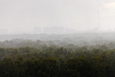 Similar image 2937708