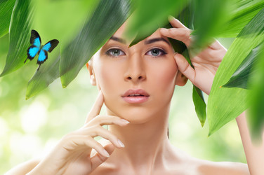 Similar image 2937794