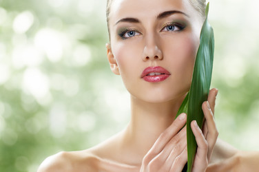 Similar image 2937795