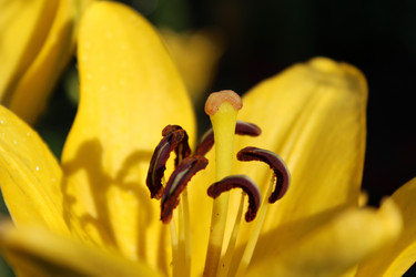 Similar image 2937840