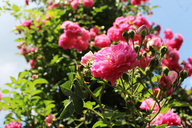 Similar image 2937842