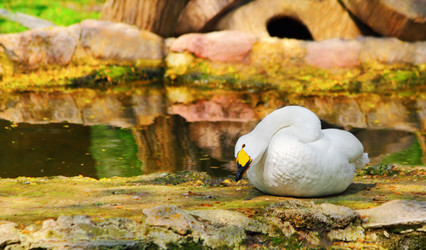 Similar image 2938040