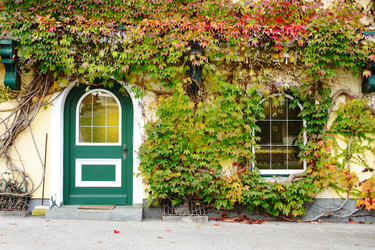 Similar image 2938043