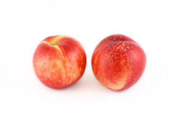 Similar image 2938044