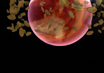 Similar image 2938122