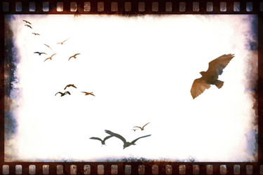 Similar image 2938124