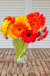 Similar image 2938163