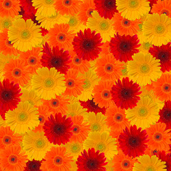 Similar image 2938186