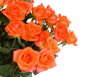 Similar image 2938219