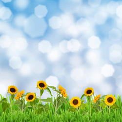 Similar image 2938227