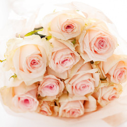 Similar image 2938243